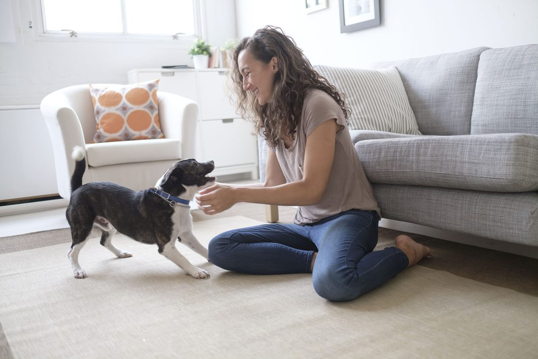 Femme jouant avec son chien